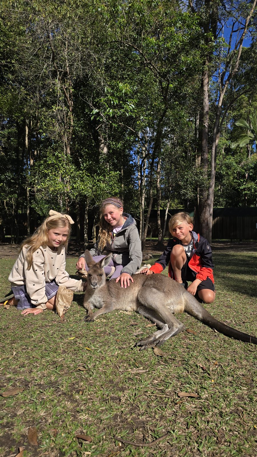 De kinderen met een kangoeroe in Australië
